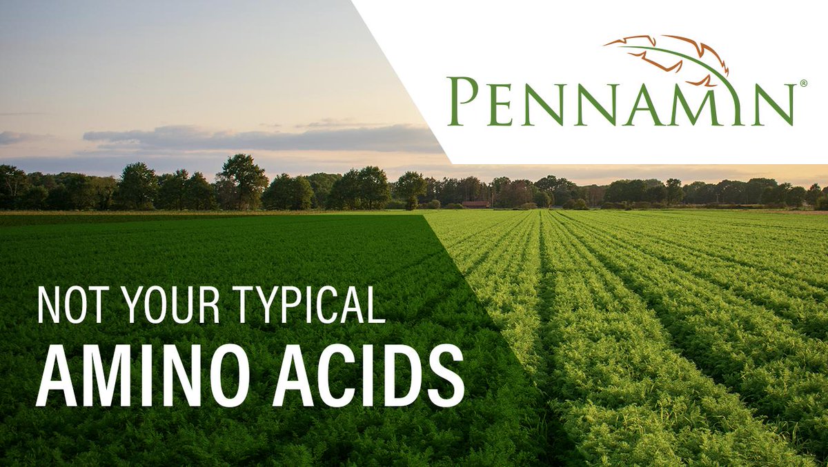 PerformFertAG's tweet image. Our #Pennamin Products contain a unique blend of 18 free L-amino acids that have proven to improve nutrient use efficiency, support crop vigor, enhance root development and improve stress tolerance. #GrowSustainably #PerformanceTechnology 
Learn more bit.ly/2MZp2Q0