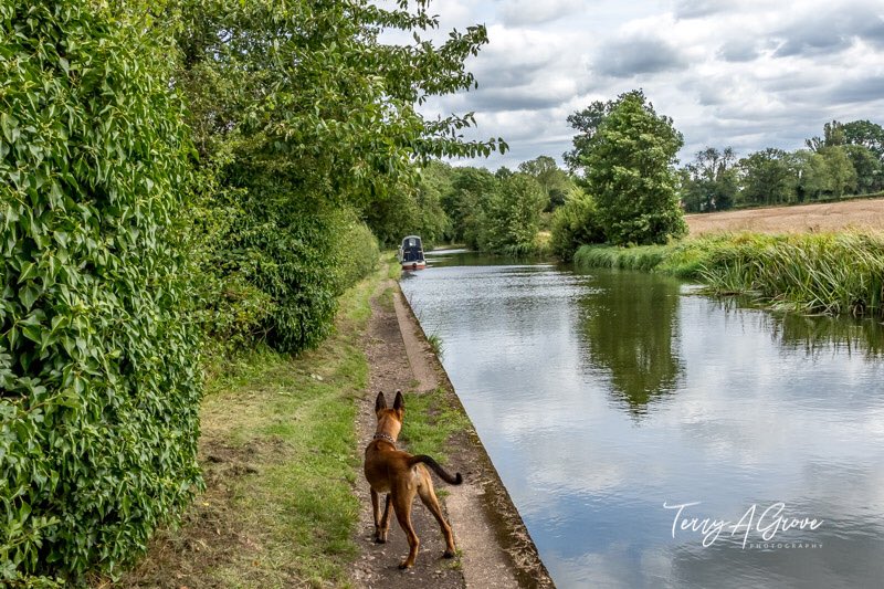 No1GhostDog's tweet photo. A few photos from our walk down the #GrandUnionCanal this afternoon which I think may have worn young Alice out 😊 https://t.co/4S59IYSWPB