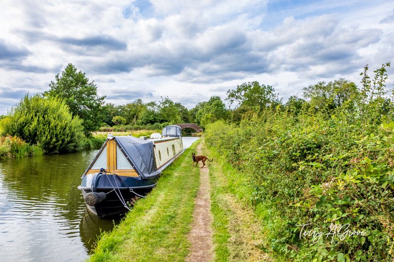No1GhostDog's tweet photo. A few photos from our walk down the #GrandUnionCanal this afternoon which I think may have worn young Alice out 😊 https://t.co/4S59IYSWPB