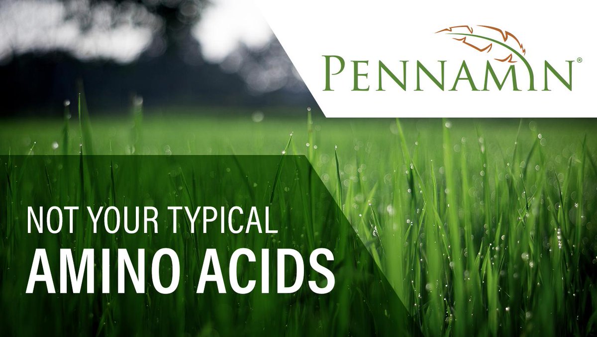 PerformanceFert's tweet image. Our #Pennamin Products contain a unique blend of 18 free L-amino acids that have proven to improve nutrient use efficiency, support turf &amp;amp; ornamental vigor, enhance root development and improve stress tolerance. #PerformanceTechnology 
 Learn more bit.ly/2H410jc