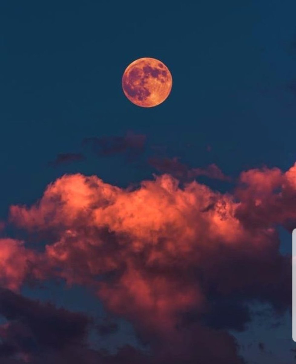 Elipsis15's tweet photo. This #FullMoon. This #Shift in life has been nothing less than #Challenging to day the least. A lot of #SelfRealizations have come to #Fruition. Realizing that most people don't give a🐁🐴 About the details of your life or what you want to achieve. #YouDoYou Don'tWorry aboutTHEM. https://t.co/uZhe9YhZsm