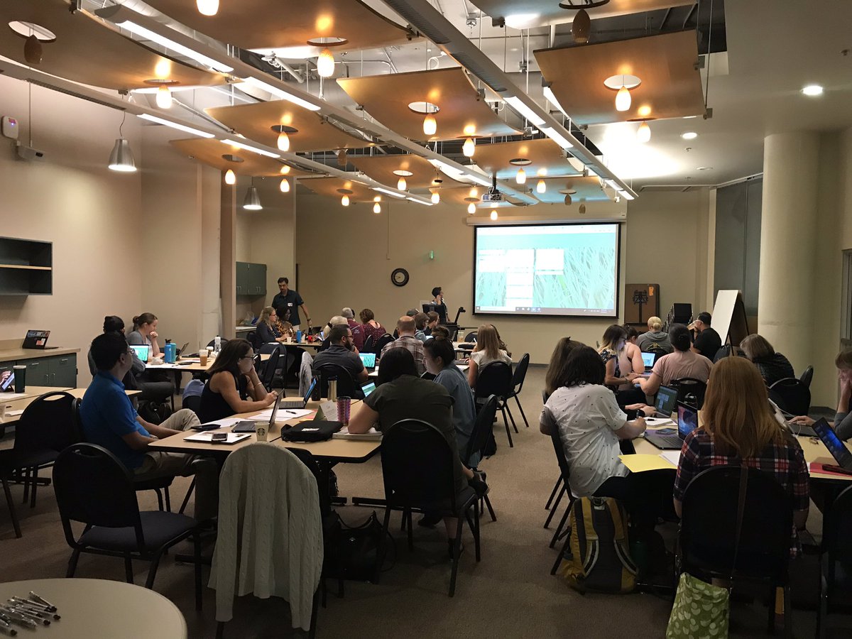 Rafael Gallardo tweet media