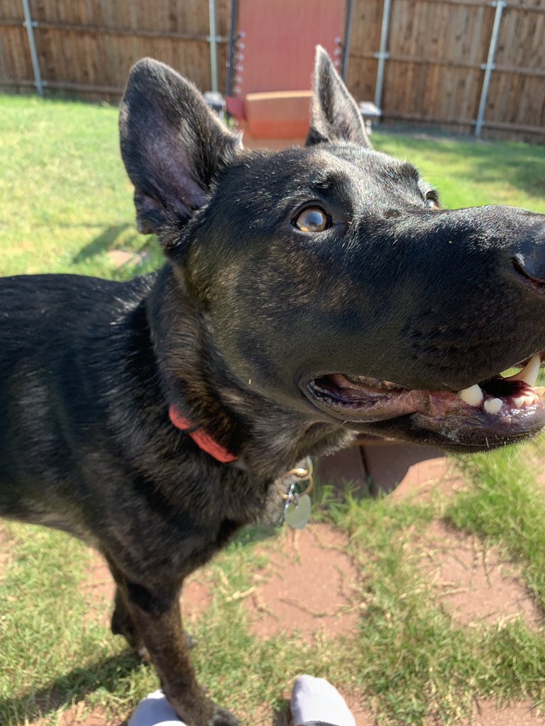 Sesley_blue's tweet image. My son is so precious 🥰