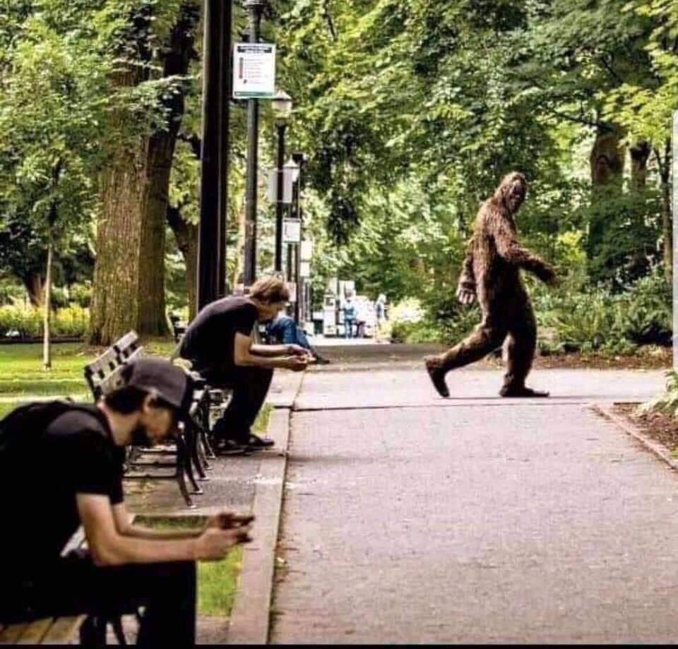 Coach_Leach's tweet image. The real reason that Bigfoot sightings are declining