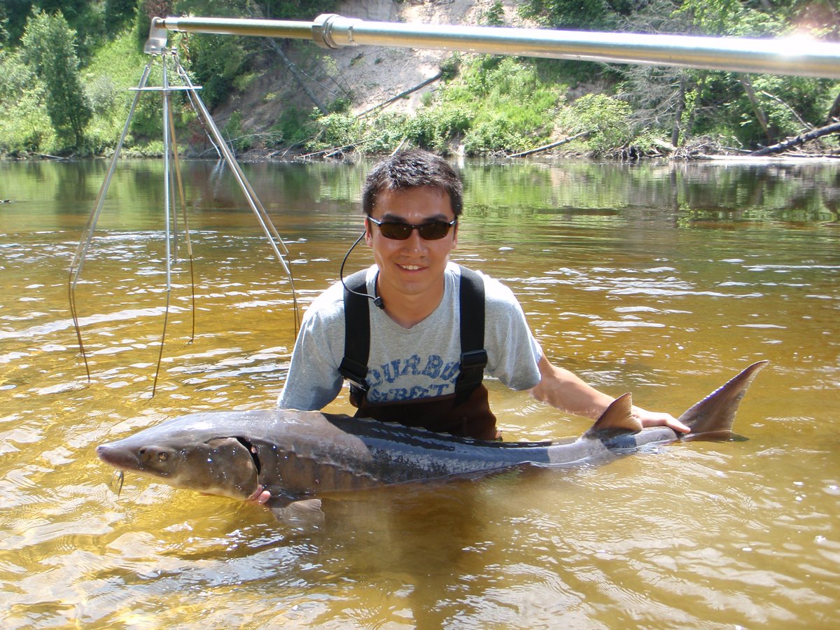 GVSU_AWRI's tweet photo. Today's full moon is called the #SturgeonMoon. Did you know the Muskegon River is home to a spawning population of lake sturgeon each spring? Scute over to the #RuetzLab's population study for the full story! https://t.co/lKa3wY7BEA https://t.co/i2ygdtc7sm