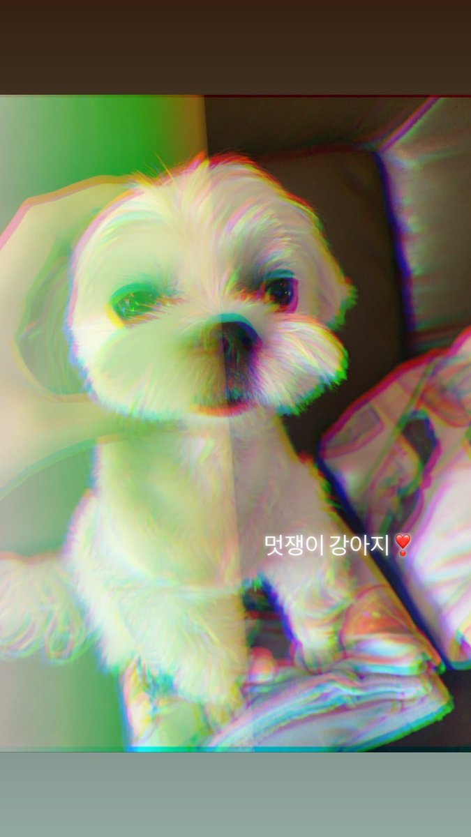 soooyaa___'s tweet photo. ๋ฌ๊ณฐ์ด๊บผ ๐ถ
๋ฉ์์ด ๊ฐ์์ง โฃ๏ธ
#CHUSTORY #SOOTORY #JISOO #BLACKPINK #JISOOSTAGRAM #BLINK #์ง์ #๋ธ๋ํํฌ #์น์ธ #๋ธ๋งํฌ #์ธ์คํ๊ทธ๋จ #์ธํ ๋ฆฌ https://t.co/aXihumfxsn