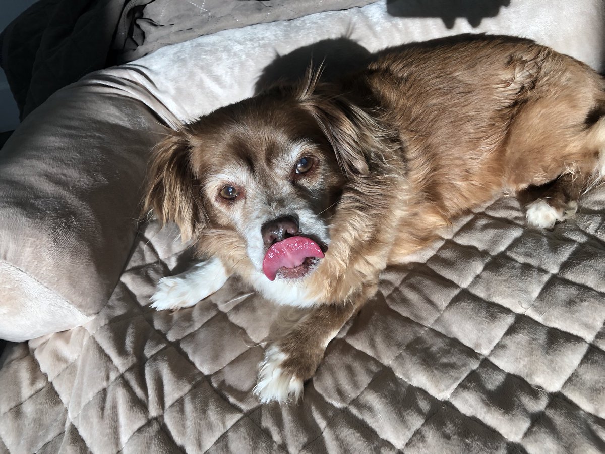 GloriaDeeButler's tweet image. #backatcha