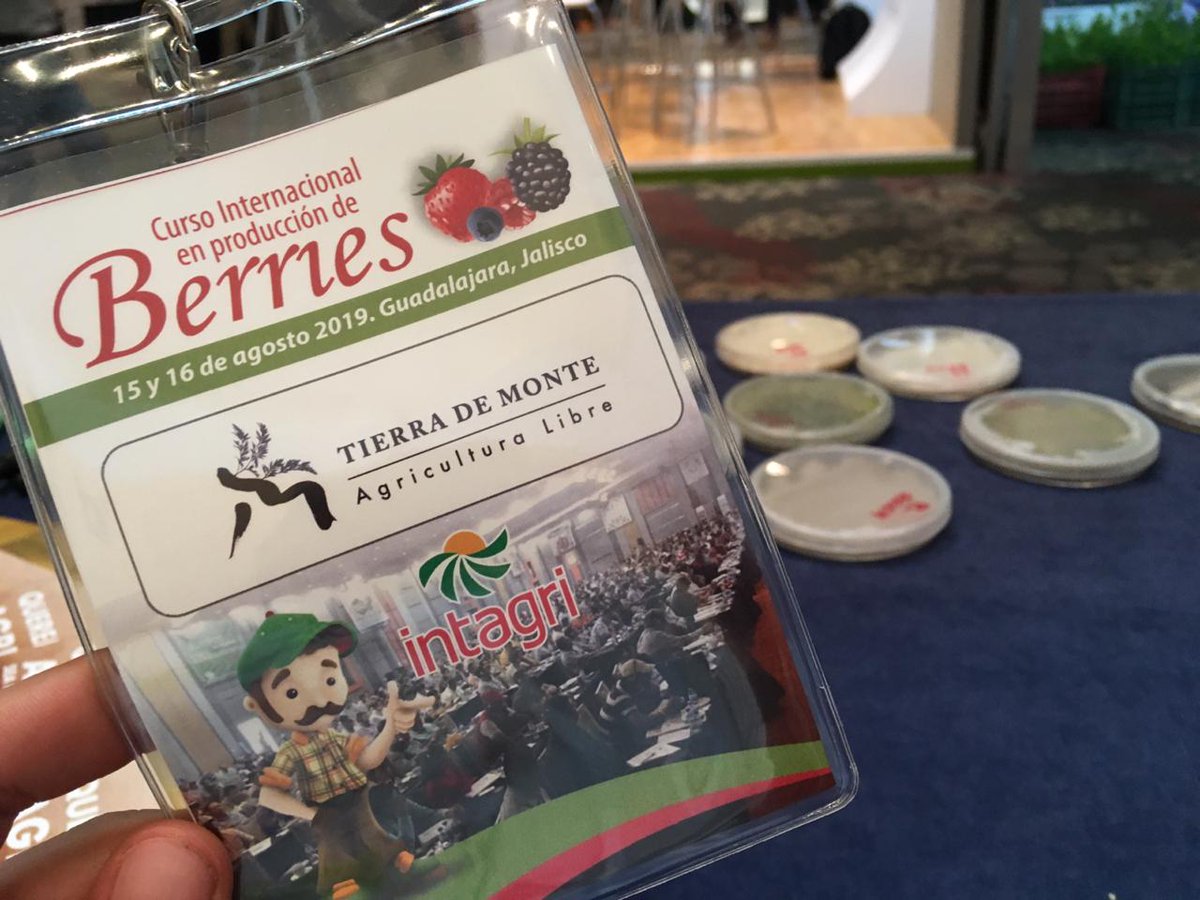 TierradeMonte's tweet photo. Muy emocionados en el Curso Internacional de producción de berries 🍓🍒🍇 @IntagriSC https://t.co/b3ZI1Itp3c