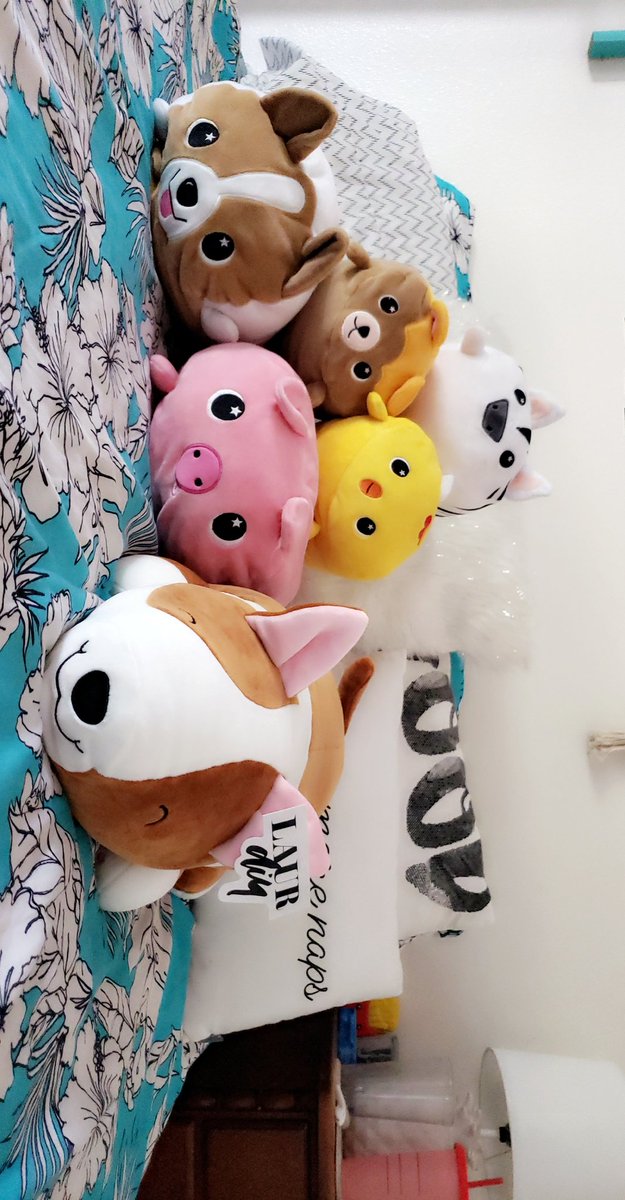 alexa_miller99's tweet photo. @laurDIY I think moose fits perfect with my stuffy family don't you think?? 🥰
I will love and take care of him everyday https://t.co/Jt3qVmVcYU