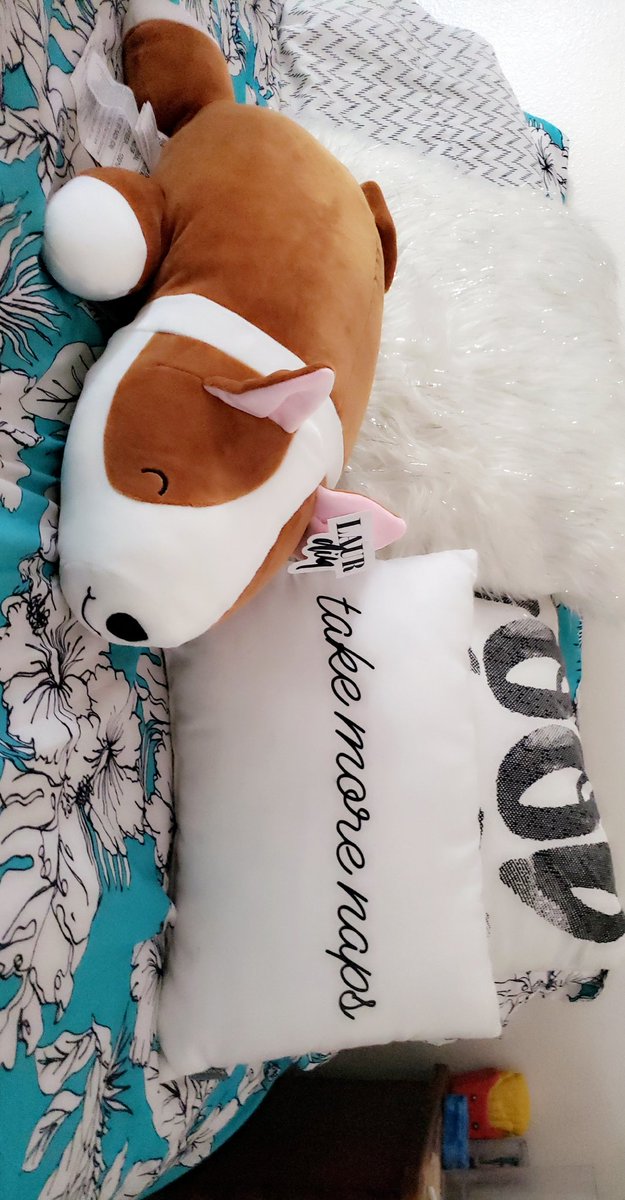alexa_miller99's tweet photo. @laurDIY I think moose fits perfect with my stuffy family don't you think?? 🥰
I will love and take care of him everyday https://t.co/Jt3qVmVcYU