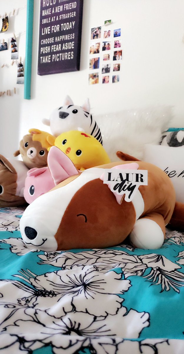 alexa_miller99's tweet photo. @laurDIY I think moose fits perfect with my stuffy family don't you think?? 🥰
I will love and take care of him everyday https://t.co/Jt3qVmVcYU