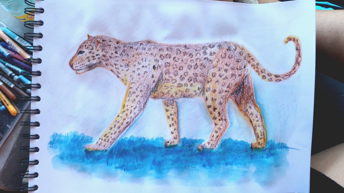 Kaywi8's tweet photo. Première fois que je tente les pastels aquarellables, sympa comme tout ces petits bâtonnets colorés 
#drawing #animals https://t.co/vjZHfL9bqa