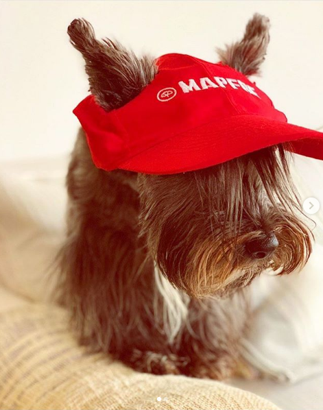 MAPFRE's tweet photo. Os deseamos un #FelizJueves con esta recopilación de imágenes de nuestra iniciativa #MeAndMAPFRE
😃Nos encantaría ver tus imágenes disfrutando de tu tiempo libre junto a la marca #MAPFRE 😃 https://t.co/B2ouwHnRS7