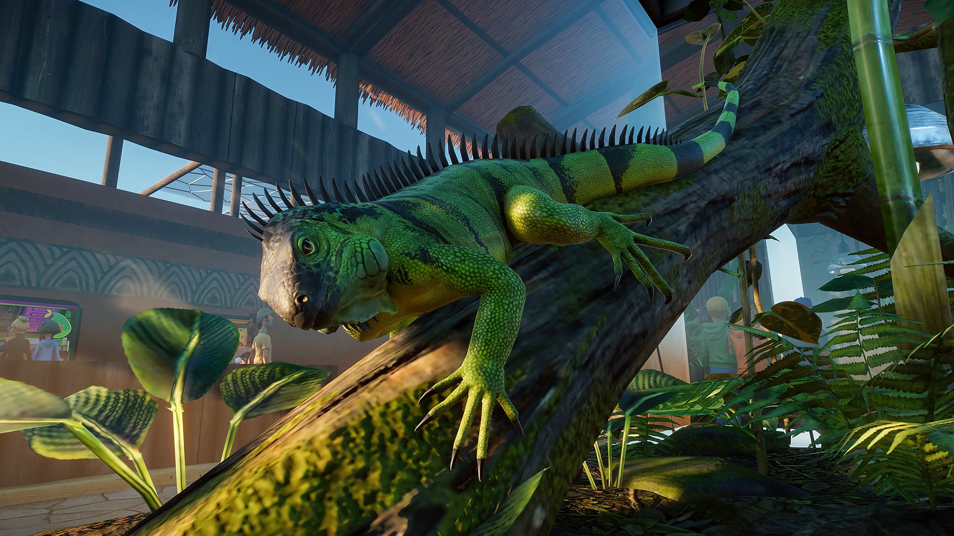 Frontier on X The Green Iguana is coming to PlanetZooGame Who s excited to start creating their dream zoo on 5 November https t n8e8XttEET X