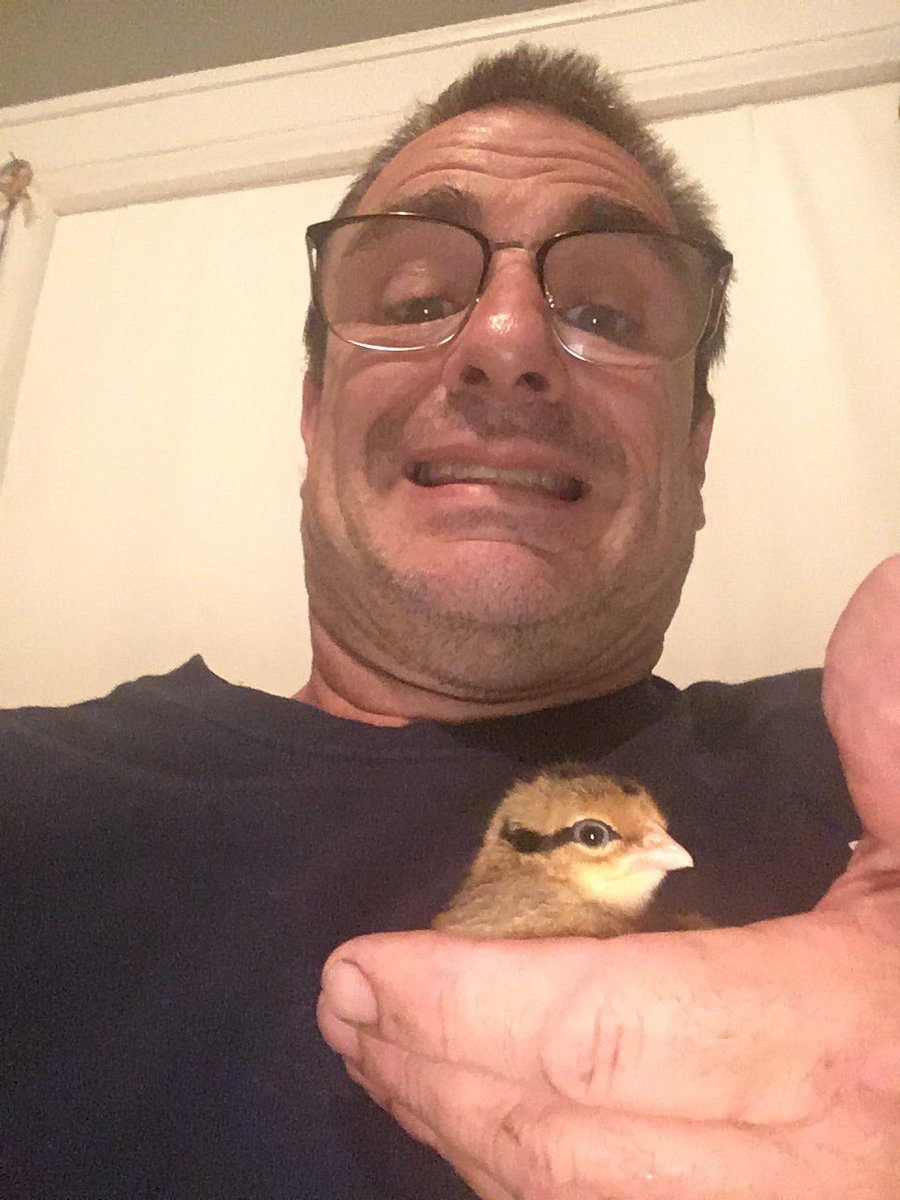 Tweet media one