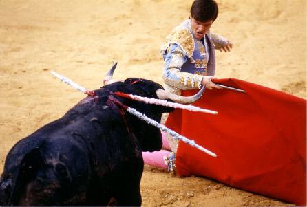 Why Did #Bullfighting Resume In #Mallorca, #Spain, For The First Time In Two Years? It Must End! 🐃🚫 #EndBullfighting 

READ MORE: 🌍👉 worldanimalnews.com/why-did-bullfi…