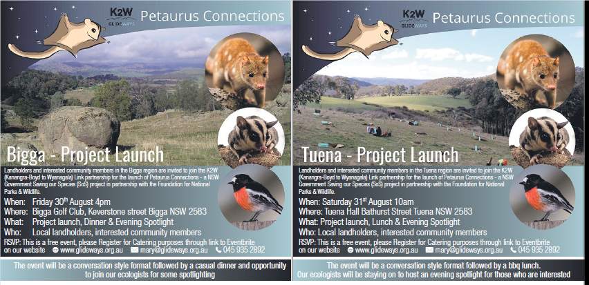 K2WLink's tweet photo. Invitation to launch of new #SavingourSpecies (#SoS ) project- #Petaurus Connections - #Tuena #Bigga #K2WGlideways #quolls https://t.co/AbNyUiaaq9 https://t.co/DLT54jitVc