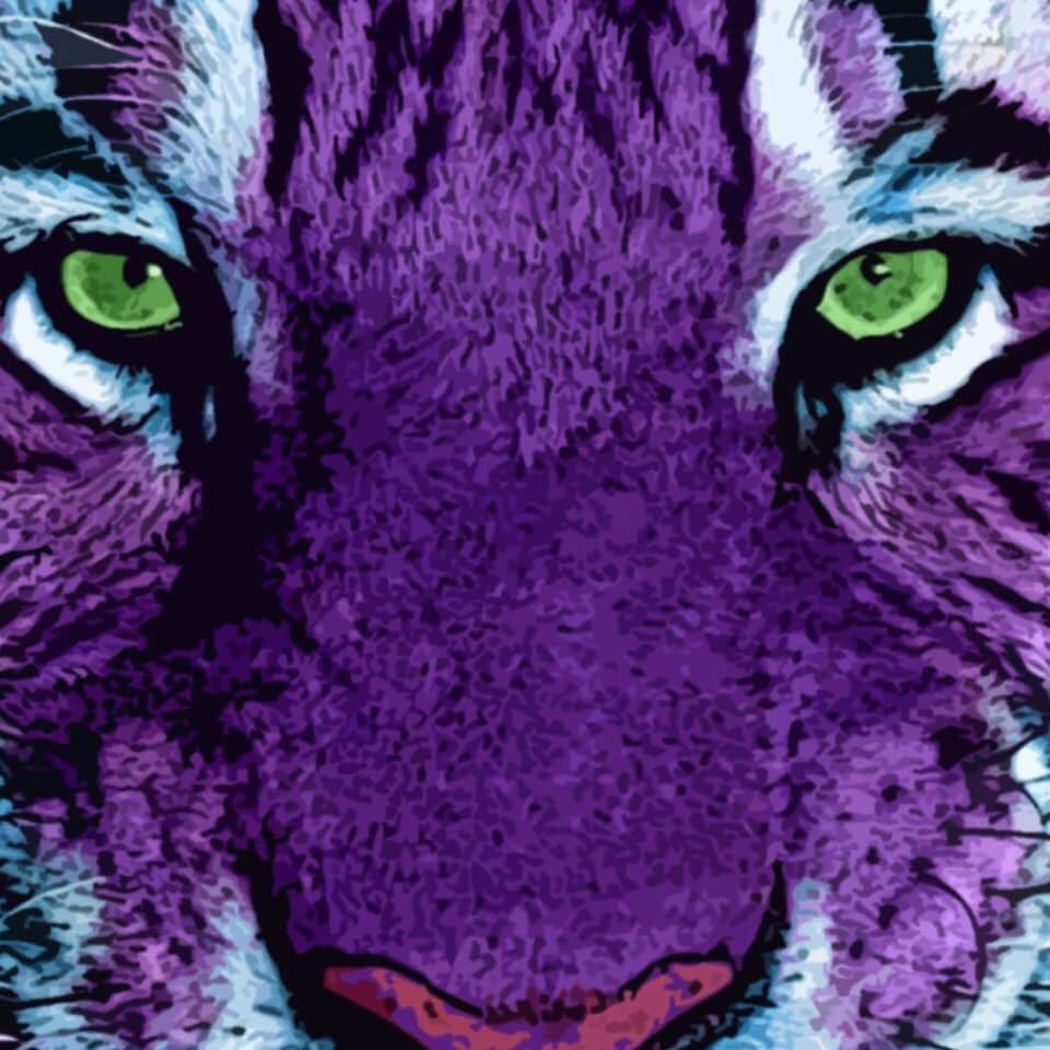 Kennard ISD on Twitter "Great 1st day at Kennard ISD! restoretheroar