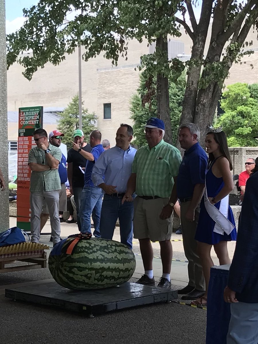 champion watermelon shoes