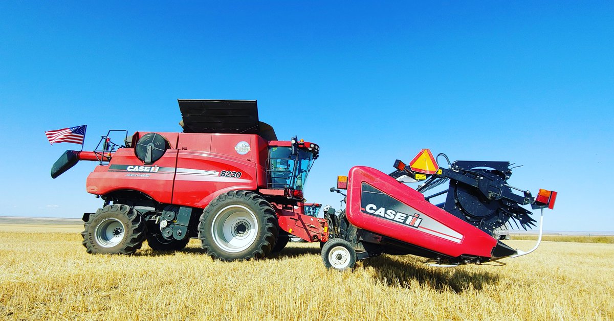 WelkerFarmsInc's tweet photo. It's go time!

#dryenoughtoharvest #beastbine #lswtires @goodyearfarm @ScottSloan6164 #lsw1400 #harvest19 #caseih #caseih8230 #welkerfarms https://t.co/KuUTply7Lg