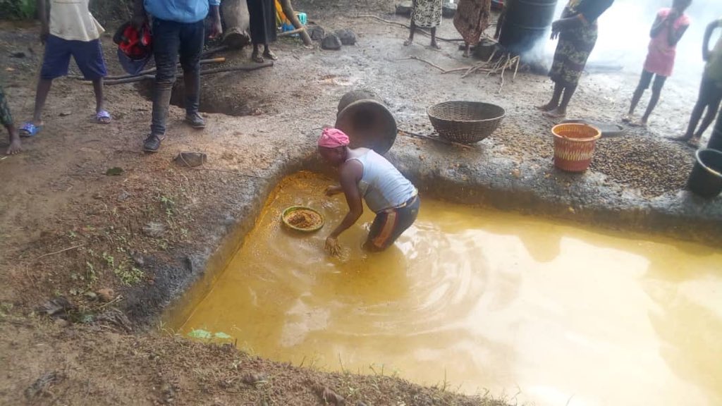 drshaukatmalik's tweet photo. Team of experts from #UNIDO, #WACOMP Sierra Leone Project are in process of scoping study for #Cocoa & #PalmOil #value_chains for value addition and #competitiveness enhancement process, direct impact would be for #SDG8 & #SDG9 besides many indirect impacts @UNIDO_QI https://t.co/jvtR5g8kSB