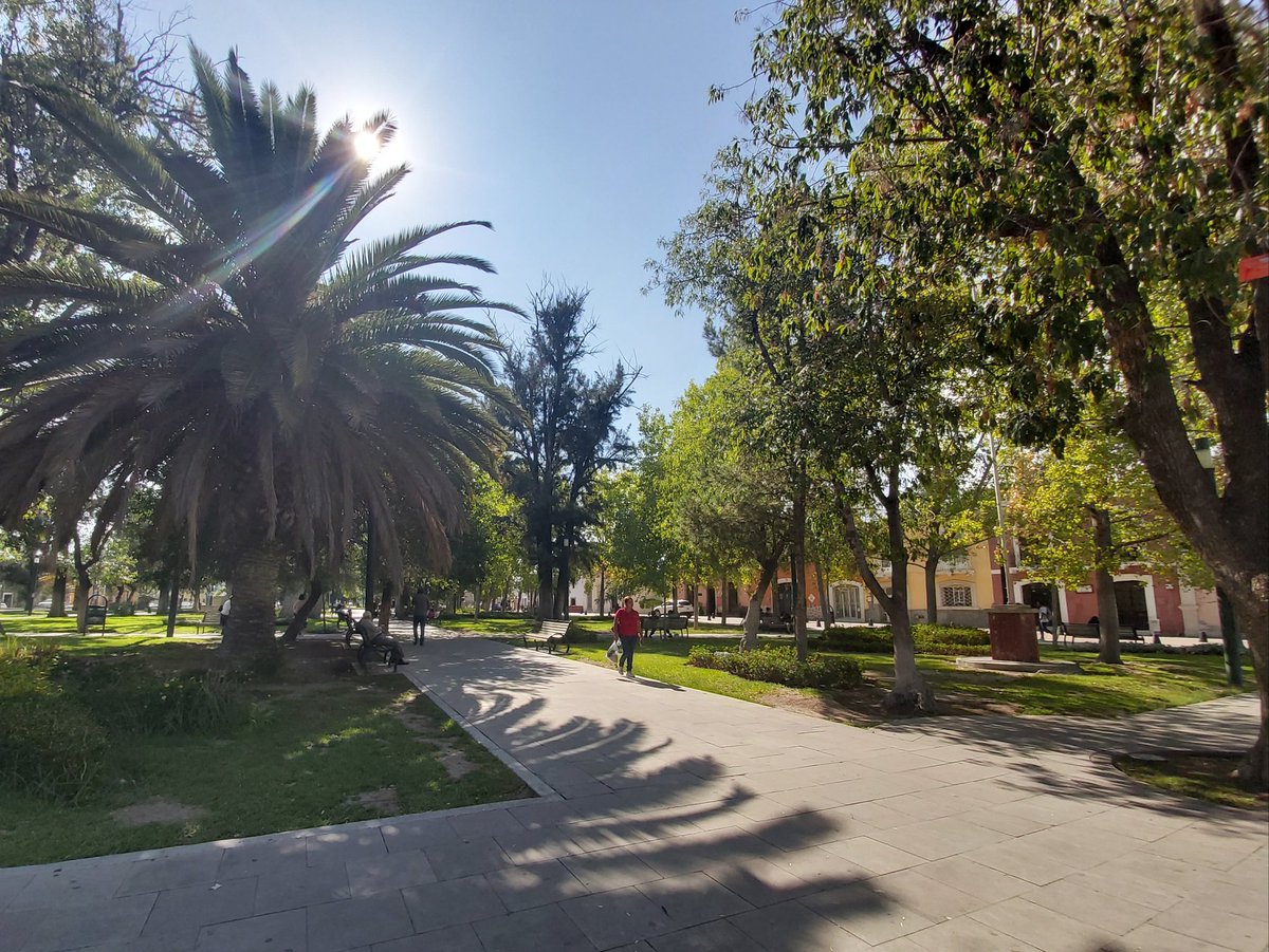 Marcohernandez8's tweet photo. Durango Las moreras
#QuieroEstarAhí #ElMejorLugar  #SorpréndeteDeDurango #ViveDurango @TurismoDurango @mexicodesconocido https://t.co/m9iGVu5azv