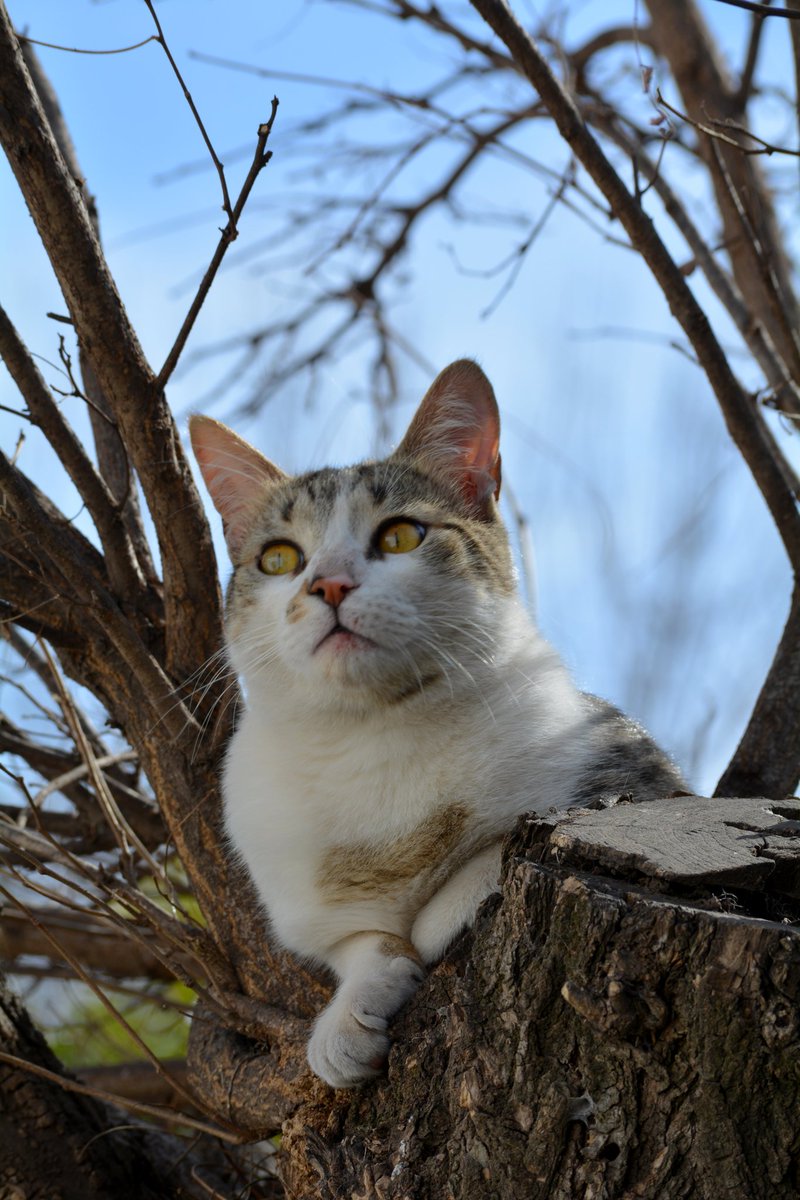 veelichoust's tweet photo. Mini sesión 📷😻 https://t.co/aGJ3b9mT5v
