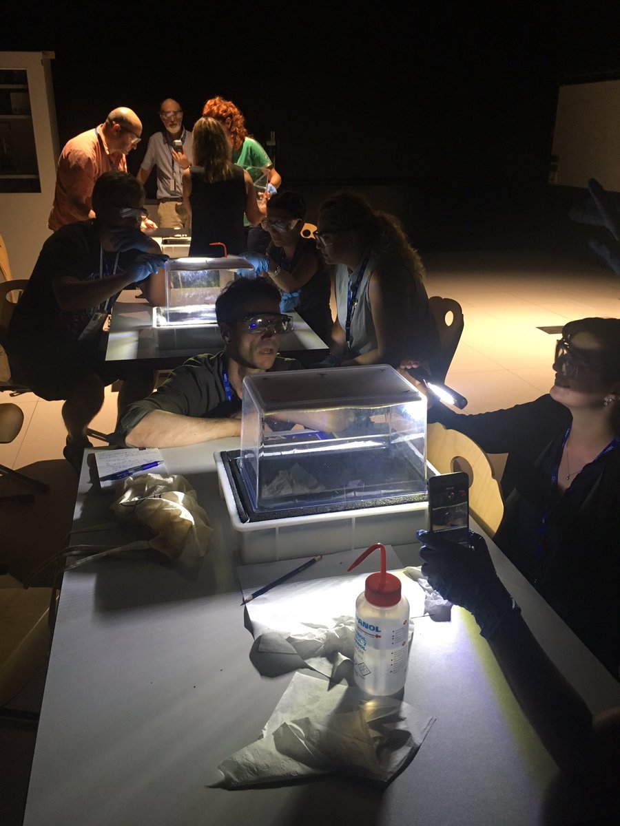 moisescaeiro's tweet image. Dazzling Cloud Chamber Workshop with Alexanda Jansky (Univ. Vienna, AT) #ScoolLAB 🤩 at CERN ITW 2019 International Teacher Weeks Programme (Geneva, Switzerland). #ITW2019 @CERN. Thanks to Julia Woithe @JuliaWoithe , Jeff Wiener @jeff_active , Anja Kranjc @KranjcAnja and others.