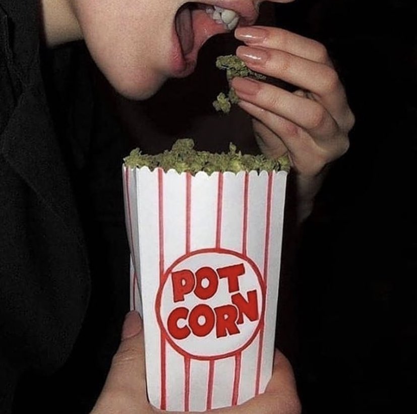 mundodlucrecia's tweet photo. #pot #potcorn #marijane #weed #legalizemarijuana #legalizeweed #freedom #movies @viajedeketa .
. .
. #followforfollowback #follow4followback #followme👉 #followme #followmelike #followmeforlike #followmenow #followmenowplease . https://t.co/z6va77iYjD