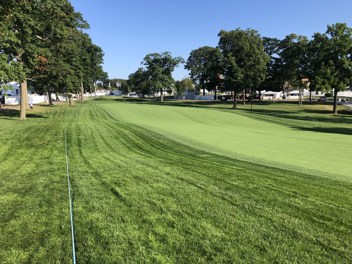 Gregory Nicoll tweet media