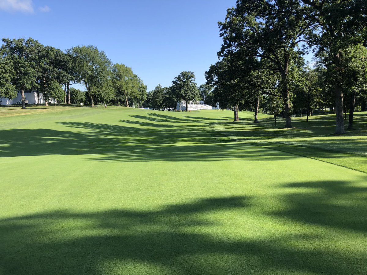 Gregory Nicoll tweet media