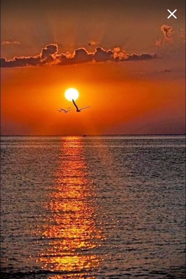 Ciao Nadia 🌹
Fa buon viaggio
Cara dolce ragazza🌹
Sei nel cuore di tutti 
Noi❤️