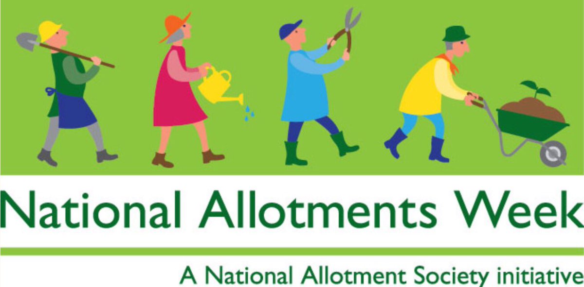 Save Our Allotments tweet media