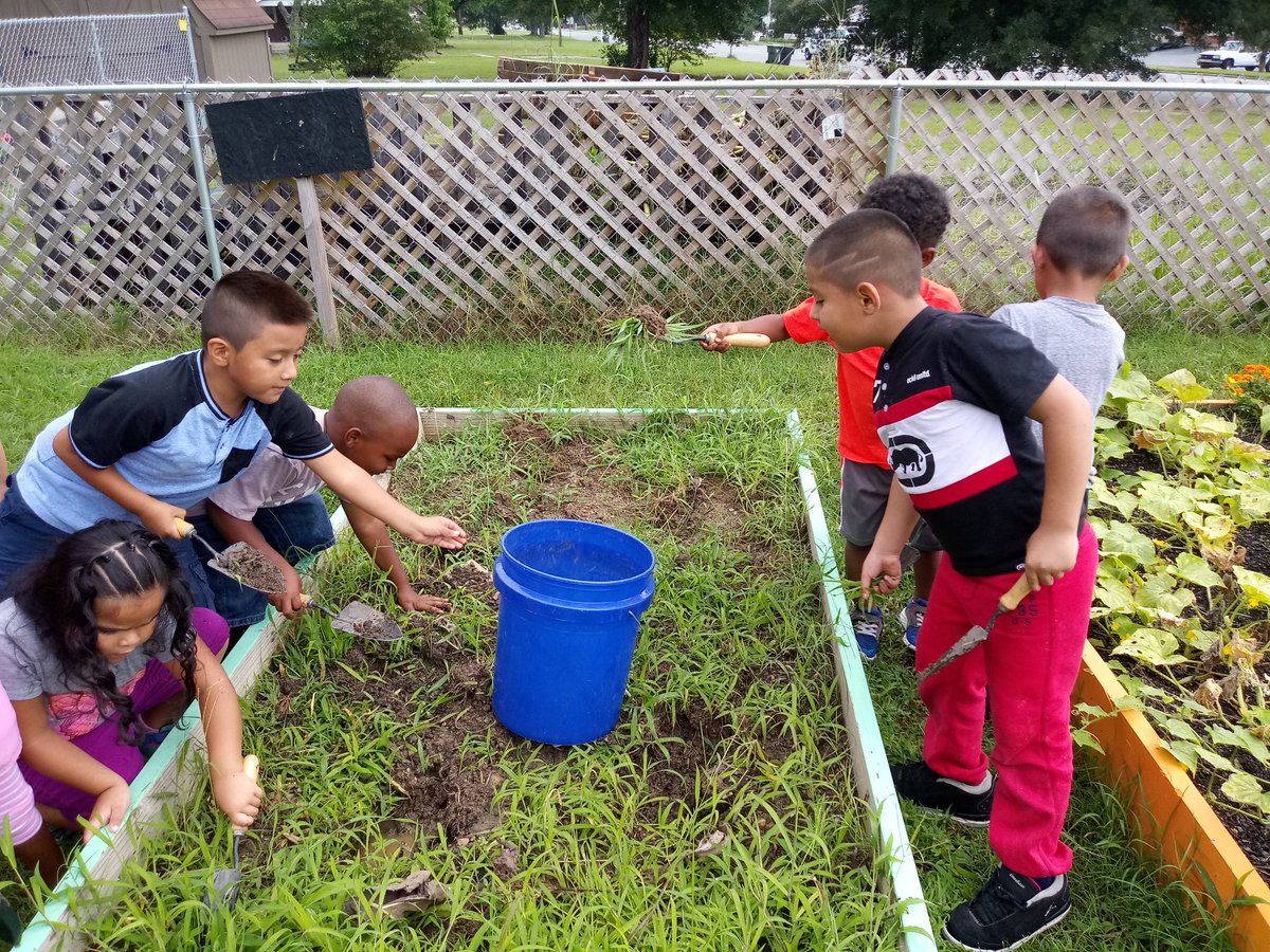 MrsV_blooms's tweet image. Teaching kinders to weed garden beds and get them ready for new soil and fall plants. @sewaddel @scomorrison
#weedingbeds
#fallgardenready
#teachthemyoung
#thekindofdirty