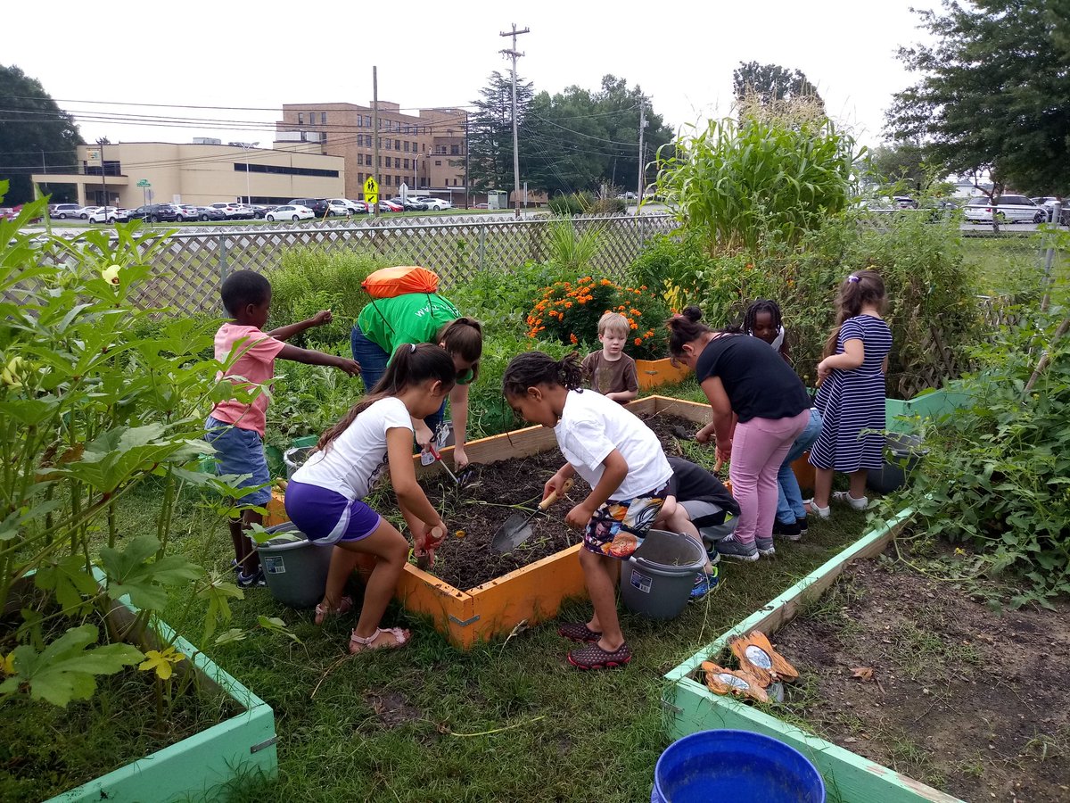 MrsV_blooms's tweet image. Teaching kinders to weed garden beds and get them ready for new soil and fall plants. @sewaddel @scomorrison
#weedingbeds
#fallgardenready
#teachthemyoung
#thekindofdirty