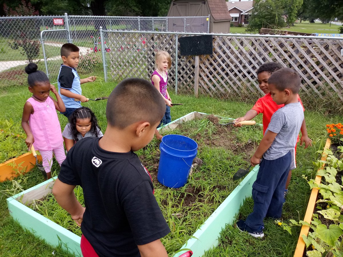 MrsV_blooms's tweet image. Teaching kinders to weed garden beds and get them ready for new soil and fall plants. @sewaddel @scomorrison
#weedingbeds
#fallgardenready
#teachthemyoung
#thekindofdirty