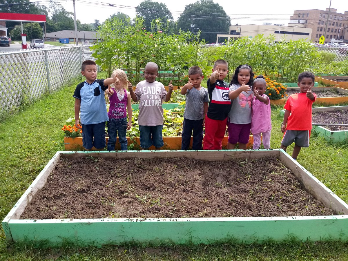 MrsV_blooms's tweet image. Teaching kinders to weed garden beds and get them ready for new soil and fall plants. @sewaddel @scomorrison
#weedingbeds
#fallgardenready
#teachthemyoung
#thekindofdirty