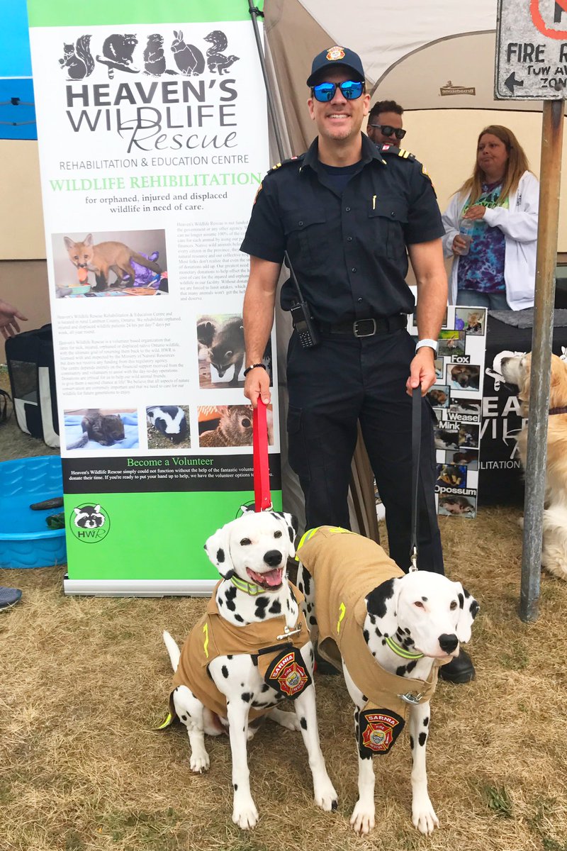 OPSEU128's tweet photo. Sarnia Jail's Health &amp; Wellness Committee held a BBQ Fundraiser in support of Heaven's Wildlife Rescue and @SarniaHumane. We raised $600 ($300 to each charity). Shout out to @SarniaFire for their support today. https://t.co/b8n7rYw60O