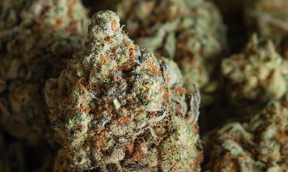 Cloudious9Crew's tweet photo. What Is THC: Inside the Most Controversial Cannabinoid

Tetrahydrocannabinol is just one of the more than 110 cannabinoids found in cannabis

https://t.co/RxRCQspEMe

CannabisNow https://t.co/ZIhySKk0NA