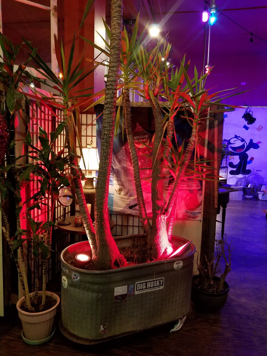 Red Vic Hotel tweet media