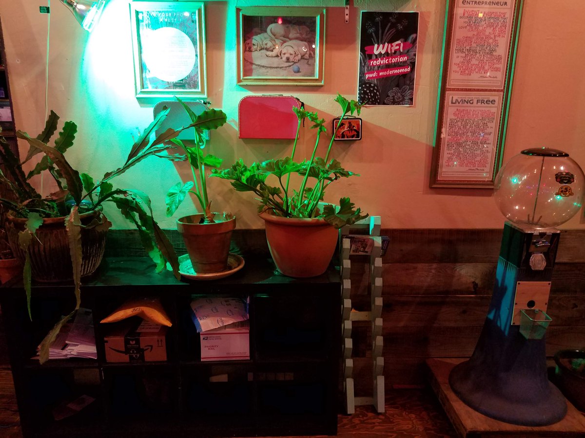 The Red Victorian is a community run, experimental hotel where art &amp; science merge. We are a non-profit collective with 22 individually decorated hotel rooms serving a diverse &amp; eclectic set of humans from around the world. Book your unique experience now redvictorian.com