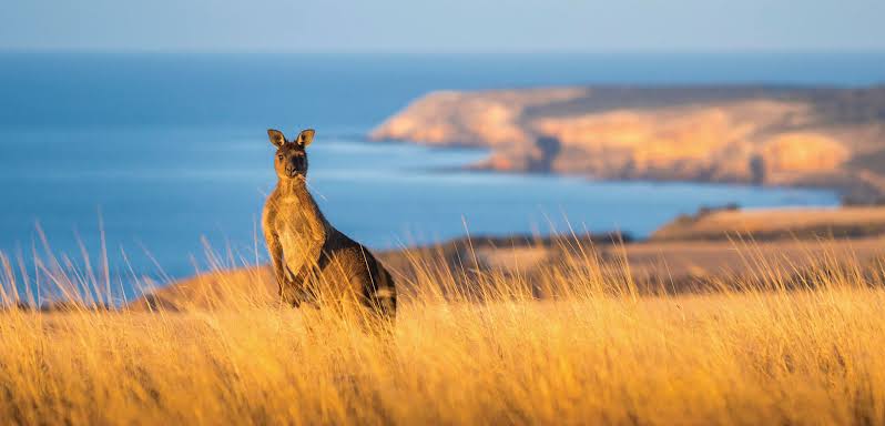 Tourism employs 1 in 13 Australians, sector 34% growth in last decade to $143b / year industry. Employment predominantly part time and female. Highest traffic from China, NZ, &amp; US. via <a href="/FinancialReview/">Financial Review</a> #startupaus_sector