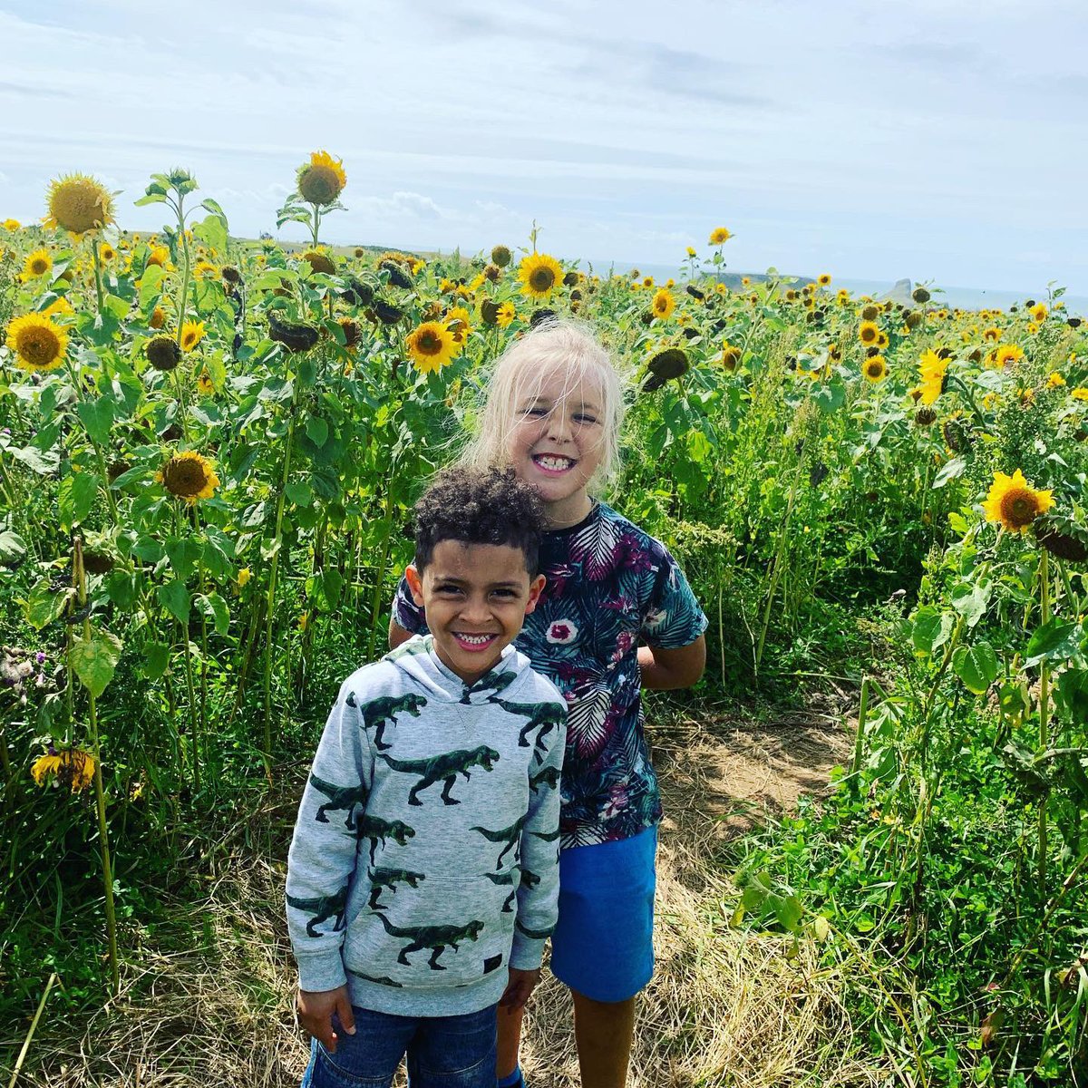 83beckamurphy's tweet photo. Amazing day with my little/big family. #Sunflowers are beautiful & the Gower is breath taking, so lucky to live here @GowerNT #memories #familytime #annualleave #workingmam #fulltime #mumof5 #mumofboys #communityhousingofficer https://t.co/hxk8VzouVa