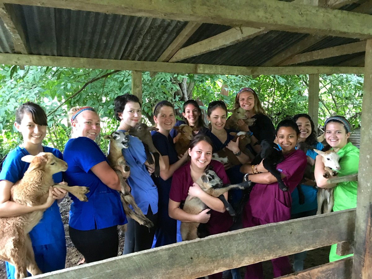 CELABelize's tweet photo. What's your perfect study abroad checklist of experiences in a new country?
https://t.co/encGxFwMcc
#studyabroad #celabelize #Belize #travel #education #engagedlearning #studentlife #university #experience #college #goabroad #travelabroad #traveltuesday https://t.co/rPLNjumZa8