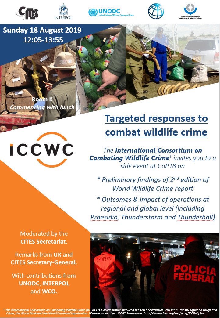 edwardvanasch's tweet photo. @CITES #CoP18 & 18 Aug = #ICCWC side event incl. prelim. findings of 2nd edition of #WWCReport & outcomes of ICCWC supported regional/global operations incl. #OperationThunderstorm (2018) & #OperationThunderball, latest in Thunder-series (2019).
See + https://t.co/sCPPN5kghW https://t.co/0nAxafmzgl