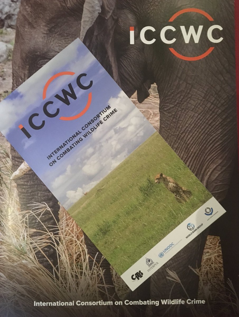 edwardvanasch's tweet photo. @CITES #CoP18 & 18 Aug = #ICCWC side event incl. prelim. findings of 2nd edition of #WWCReport & outcomes of ICCWC supported regional/global operations incl. #OperationThunderstorm (2018) & #OperationThunderball, latest in Thunder-series (2019).
See + https://t.co/sCPPN5kghW https://t.co/0nAxafmzgl