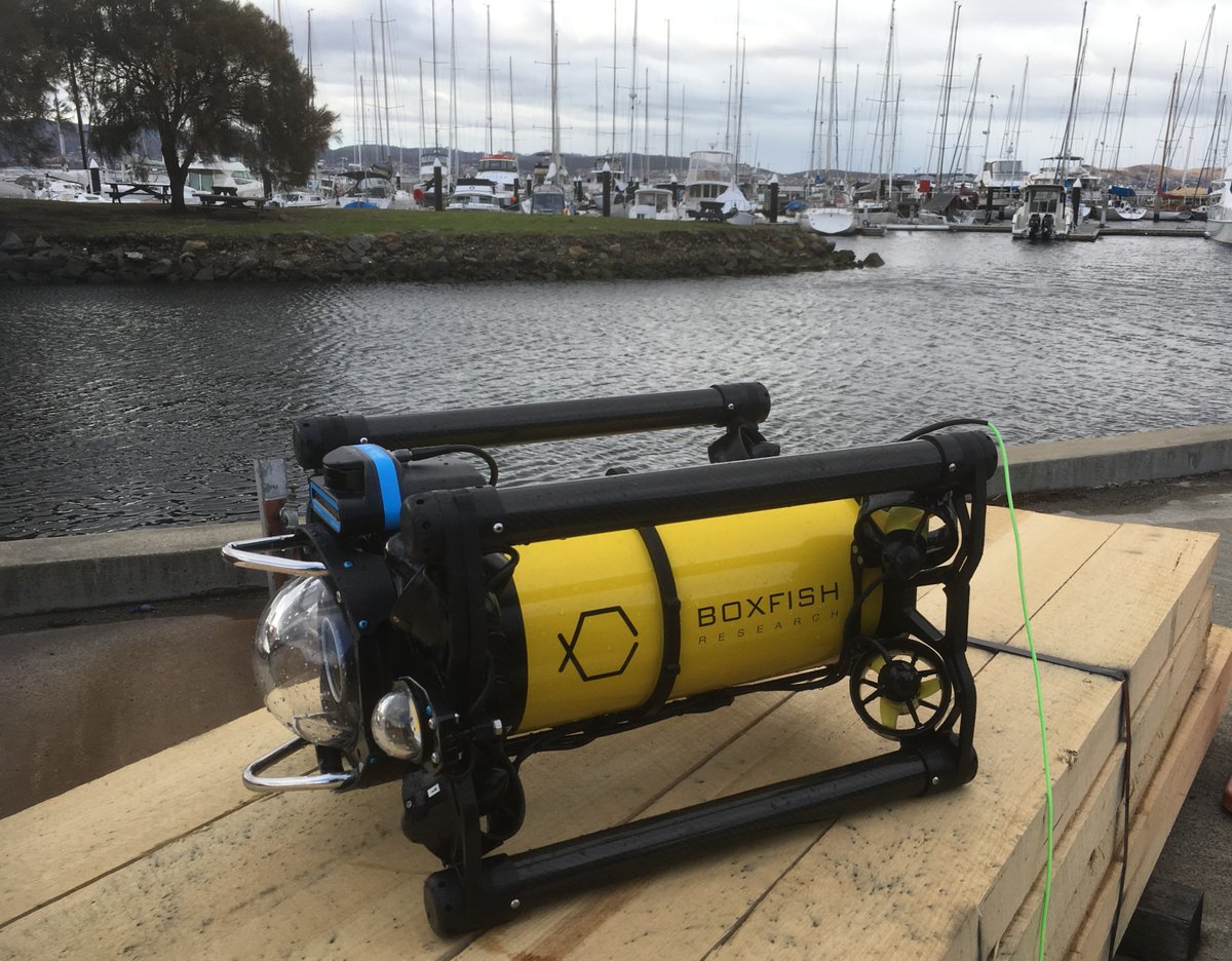 boxfishrobotics's tweet photo. Our Boxfish ROV on the demo tour in Tasmania showing its capabilities of powerful uncompressed 4K video and underwater imaging using a sonar.
.
.
#BoxfishROV #miniROV https://t.co/gNTkDsZaWb