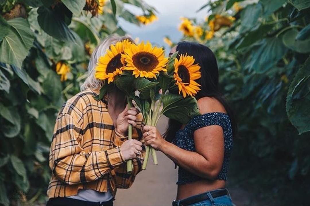 With summer comes a great chance for outdoor dates! The Chilliwack Sunflower Fest certainly makes for a magical and unexpected date!
@chilliwacksunflowerfest 

Credits: 📸@julierandphotography

#ShareChilliwack
#TheFraserValley #CircleFarmTour #ExploreBCGardens #ExploreBC