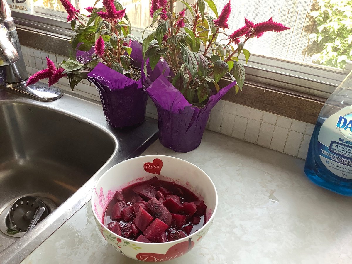 BodyDevotion17's tweet photo. Thinking about the healing property of beets.. Look at this majestic magenta colour!! #borscht #Healing 
#yeg #yegdt #acupuncture #massagetherapist #wellness https://t.co/ETdwHU5Kj6