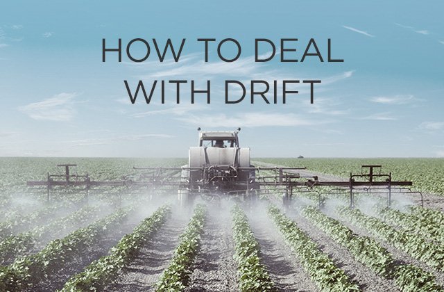 CottonCultivated tweet media